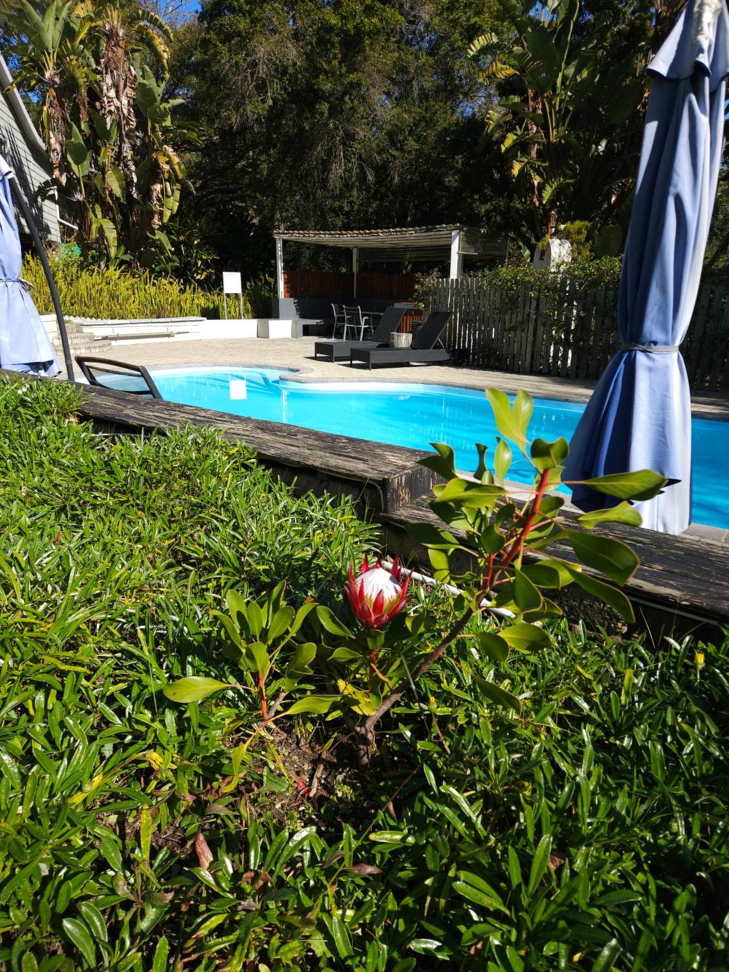 Stannards Guest Lodge 4 Star B&B, Knysna Kültér fotó